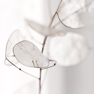 Meet your Posher, Maelys